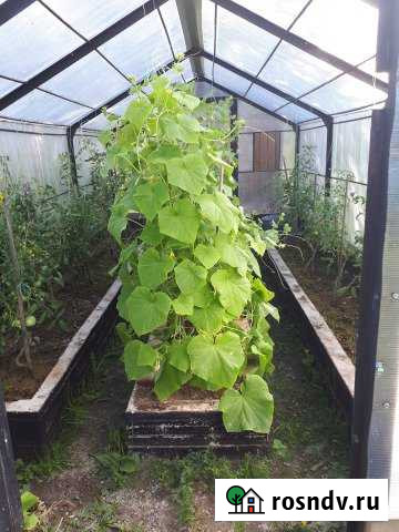 Дача 20 м² на участке 13 сот. на продажу в Верхней Пышме Верхняя Пышма - изображение 1