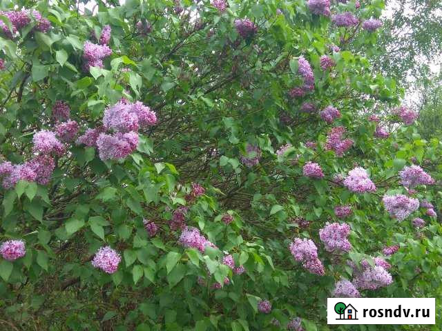 Дача 30 м² на участке 6 сот. на продажу во Фряново Фряново - изображение 1