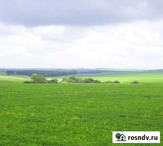 Участок промназначения 1670 сот. на продажу в Курумоче Курумоч - изображение 1