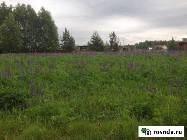 Участок СНТ, ДНП 10 сот. на продажу в Электрогорске Электрогорск - изображение 1