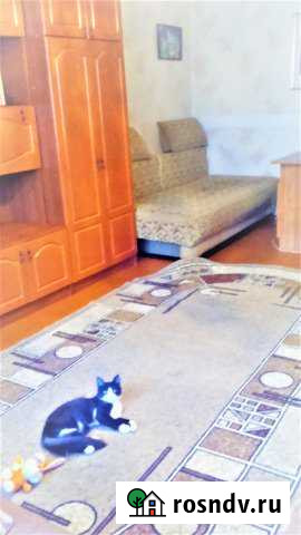 1-комнатная квартира, 38 м², 3/5 эт. в аренду на длительный срок в Сызрани Сызрань - изображение 1