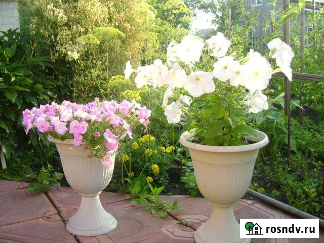 Дача 20 м² на участке 6 сот. на продажу в Хрящевке Хрящевка - изображение 1