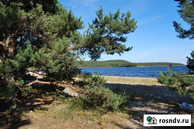 Участок СНТ, ДНП 1200 сот. на продажу в Лахденпохье Лахденпохья - изображение 1