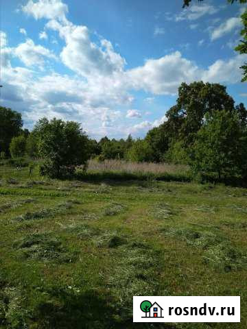 Участок ИЖС 20 сот. на продажу в Шемышейке Шемышейка - изображение 1