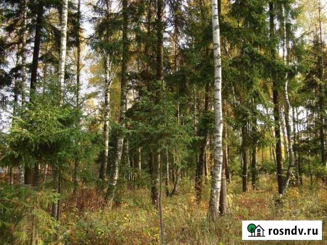 Участок ИЖС 9 сот. на продажу в Голицыно Голицыно - изображение 1