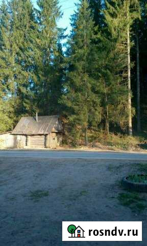 Дача 40 м² на участке 2 сот. на продажу в Пикалево Пикалево - изображение 1