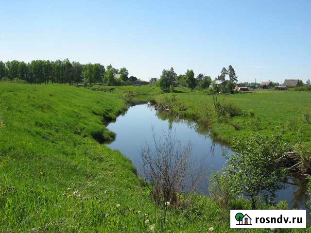 Участок ИЖС 25 сот. на продажу в Тосно Тосно - изображение 1