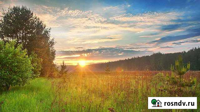 Участок СНТ, ДНП 220 сот. на продажу в Саранске Саранск - изображение 1