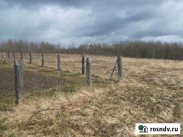 Участок ИЖС 47 сот. на продажу в Ржеве Ржев - изображение 1