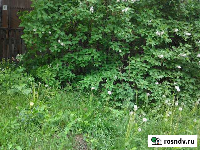 Участок ИЖС 20 сот. на продажу в Ельне Ельня - изображение 1