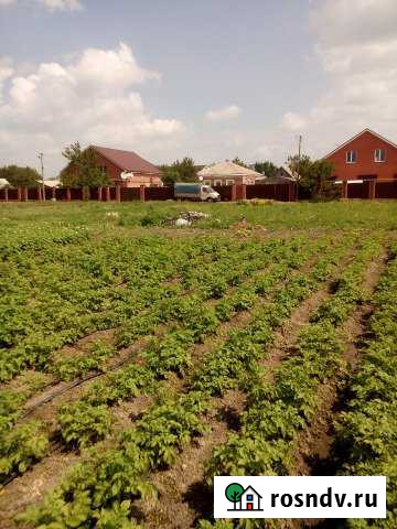 Участок ИЖС 8 сот. на продажу в Ольгинской Ростовской области Ольгинская - изображение 1