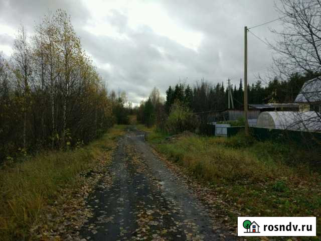 Участок ИЖС 31 сот. на продажу в Ухте Ухта - изображение 1