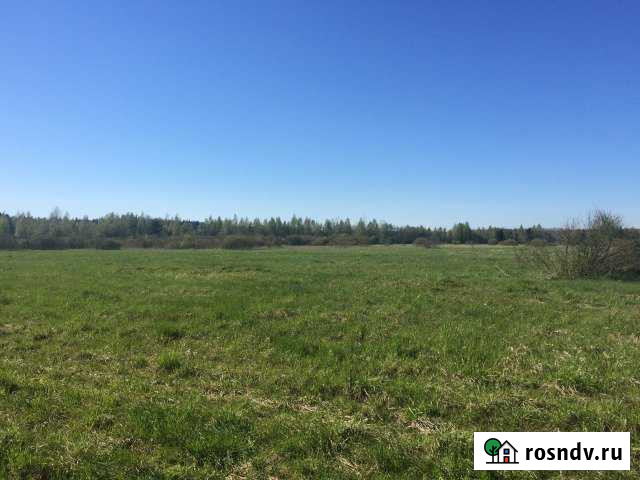 Участок СНТ, ДНП 260 сот. на продажу в Приморске Ленинградской области Приморск - изображение 1