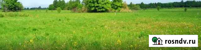 Участок ИЖС 15 сот. на продажу в Хохольском Хохольский - изображение 1