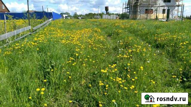 Участок СНТ, ДНП 12 сот. на продажу в Кипене Кипень - изображение 1