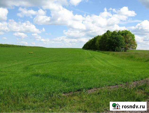 Участок ИЖС 30 сот. на продажу в Михайлове Михайлов - изображение 1