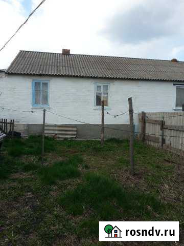 Дом 45 м² на участке 4 сот. на продажу в Вейделевке Вейделевка - изображение 1