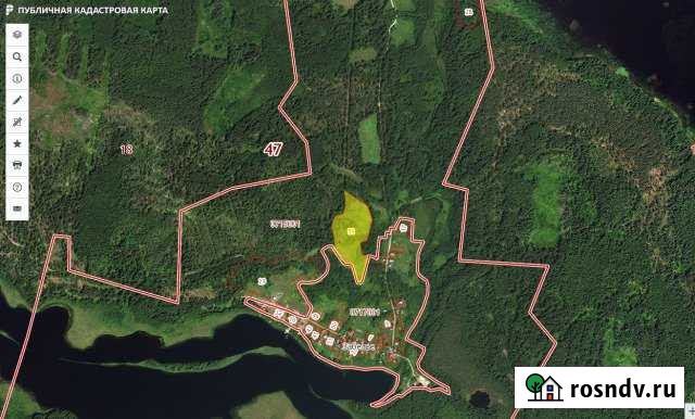 Участок СНТ, ДНП 47 сот. на продажу в Бокситогорске Бокситогорск - изображение 1