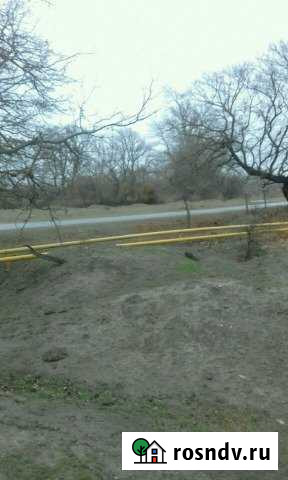 Участок СНТ, ДНП 400 сот. на продажу в Нечаевке Нечаевка - изображение 1