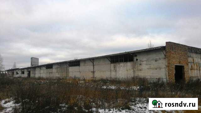 Помещение свободного назначения, 2336 кв.м. Великие Луки - изображение 1