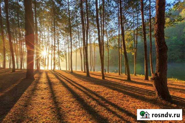 Участок СНТ, ДНП 2050 сот. на продажу в Щелкуне Щелкун - изображение 1