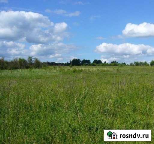 Участок промназначения 200 сот. на продажу в Орлово Орлово - изображение 1