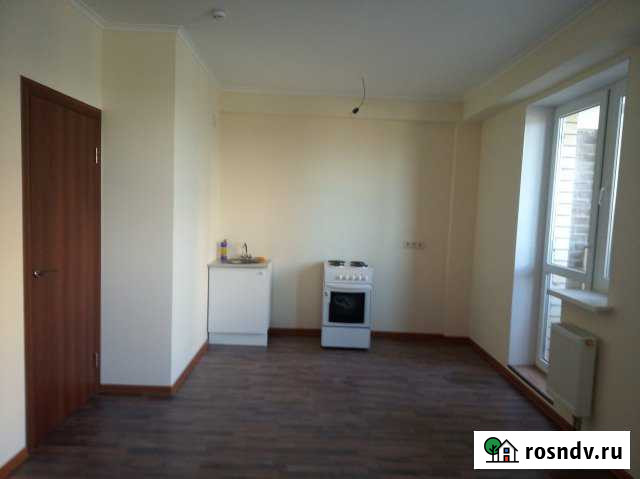 1-комнатная квартира, 30 м², 12/17 эт. в аренду на длительный срок в Старой Купавне Старая Купавна - изображение 1