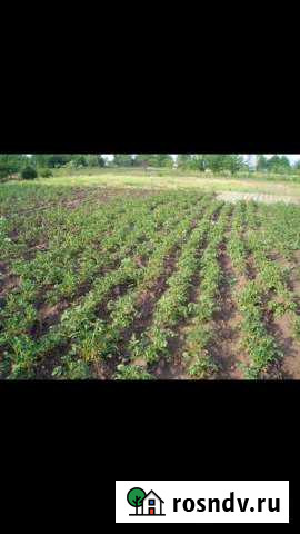 Участок ИЖС 40 сот. на продажу в Дядьковской Дядьковская - изображение 1