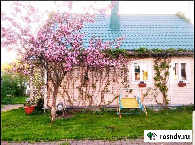 Дача 115 м² на участке 14 сот. в аренду посуточно в Сертолово Сертолово - изображение 1