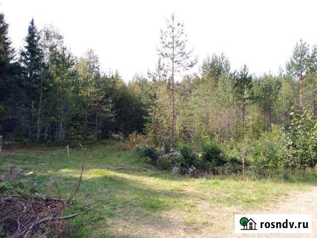 Участок СНТ, ДНП 15 сот. на продажу в Ильинском Республики Карелия Ильинский - изображение 1