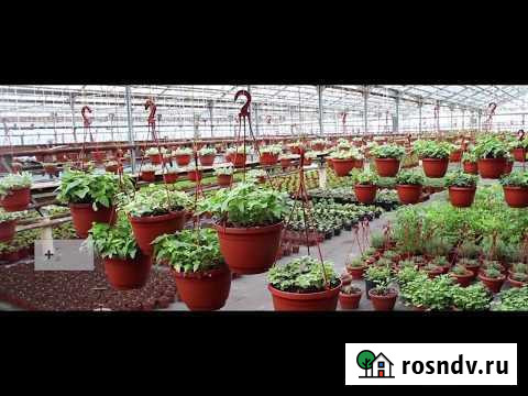 Помещение свободного назначения, 1200 кв.м. Люберцы - изображение 1