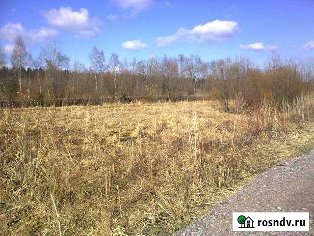 Участок СНТ, ДНП 100 сот. в аренду в Лесколово Лесколово - изображение 1