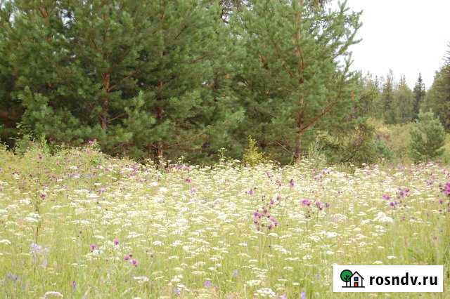 Дом 36 м² на участке 32 сот. на продажу в Большой Мурте Большая Мурта - изображение 1