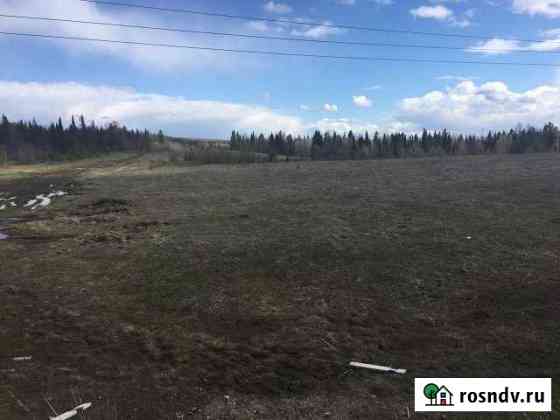 Участок СНТ, ДНП 319 сот. на продажу в Юго-Камском Юго-Камский