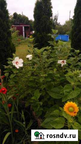 Дача 20 м² на участке 9 сот. на продажу в Ерзовке Ерзовка - изображение 1