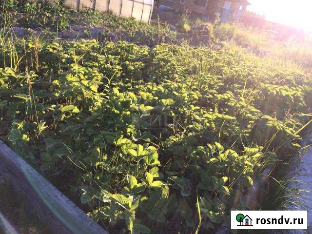 Участок ИЖС 4 сот. на продажу в Лянторе Лянтор - изображение 1