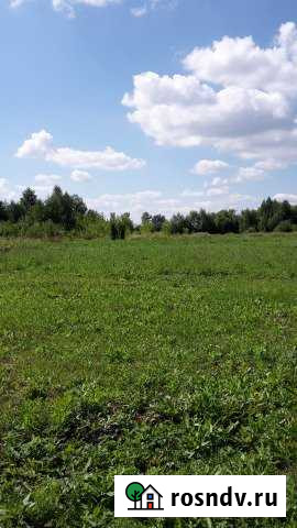 Участок ИЖС 48 сот. на продажу в Чаплыгине Чаплыгин - изображение 1