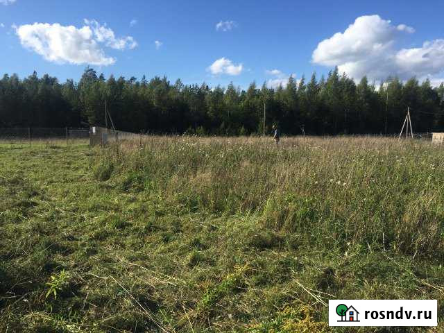 Участок СНТ, ДНП 14 сот. на продажу в Толмачево Ленинградской области Толмачево - изображение 1