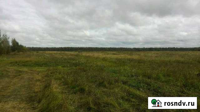 Участок СНТ, ДНП 600 сот. на продажу в Чудово Чудово - изображение 1