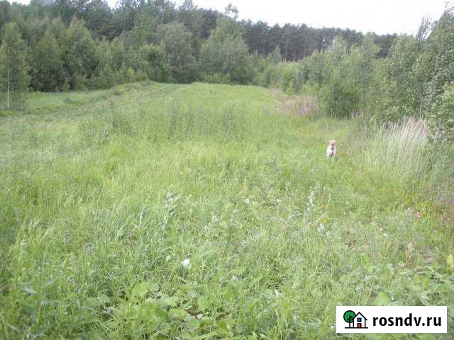 Участок ИЖС 10 сот. на продажу в Печорах Печоры - изображение 1