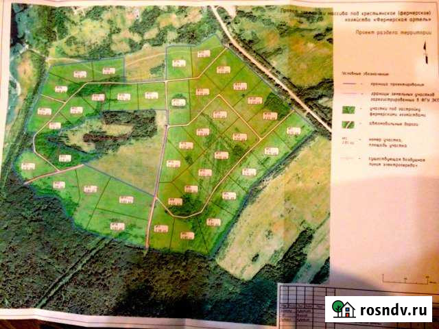 Участок СНТ, ДНП 200 сот. на продажу в Плюссе Плюсса - изображение 1