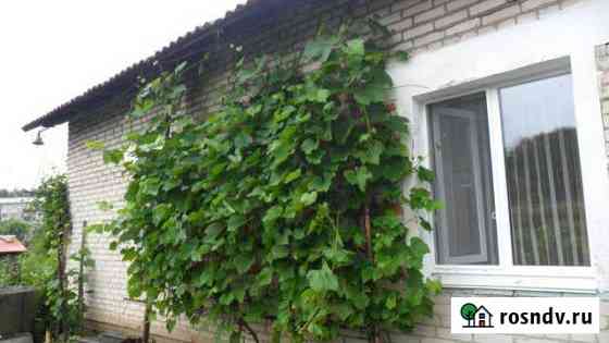 Дом 60 м² на участке 25 сот. на продажу в Амурске Амурск