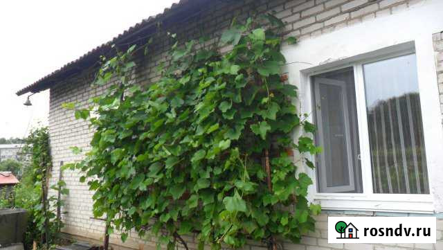 Дом 60 м² на участке 25 сот. на продажу в Амурске Амурск - изображение 1