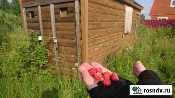 Участок СНТ, ДНП 8 сот. на продажу в Вербилках Вербилки