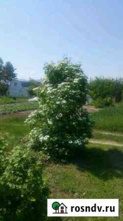 Участок СНТ, ДНП 4 сот. на продажу в Боголюбово Боголюбово