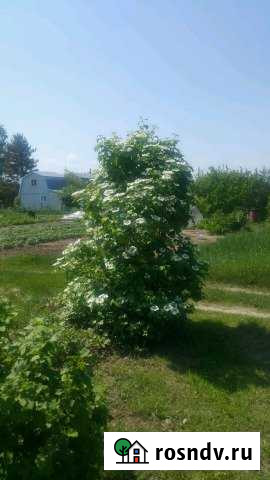 Участок СНТ, ДНП 4 сот. на продажу в Боголюбово Боголюбово - изображение 1