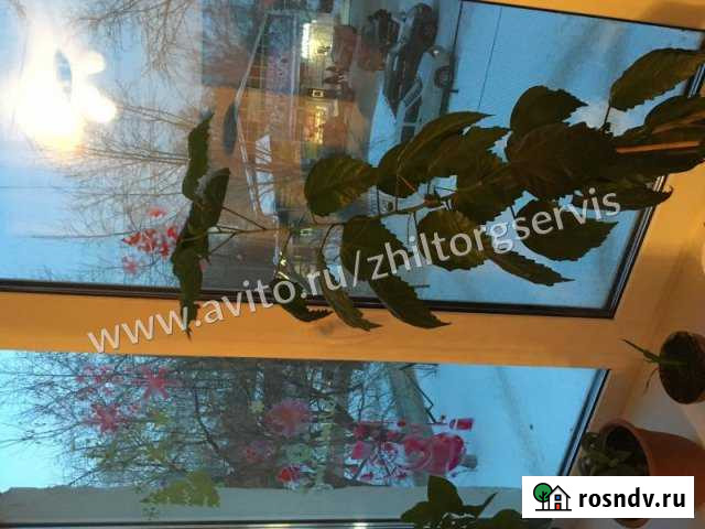 Комната 25 м² в 1-ком. кв., 2/5 эт. на продажу в Березовском Свердловской области Березовский - изображение 1