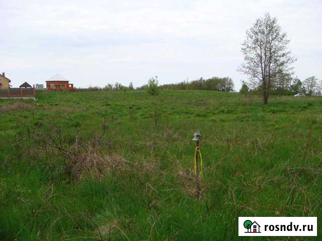 Участок СНТ, ДНП 6 сот. на продажу в Донском Калининградской области Донское - изображение 1