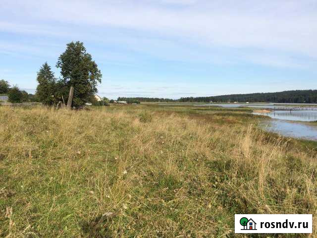 Участок СНТ, ДНП 1000 сот. на продажу в Ильинском Пермского края Ильинский - изображение 1