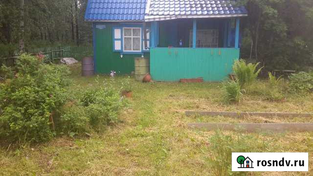 Дача 20 м² на участке 10 сот. на продажу в Памяти 13 Борцове Памяти 13 Борцов - изображение 1